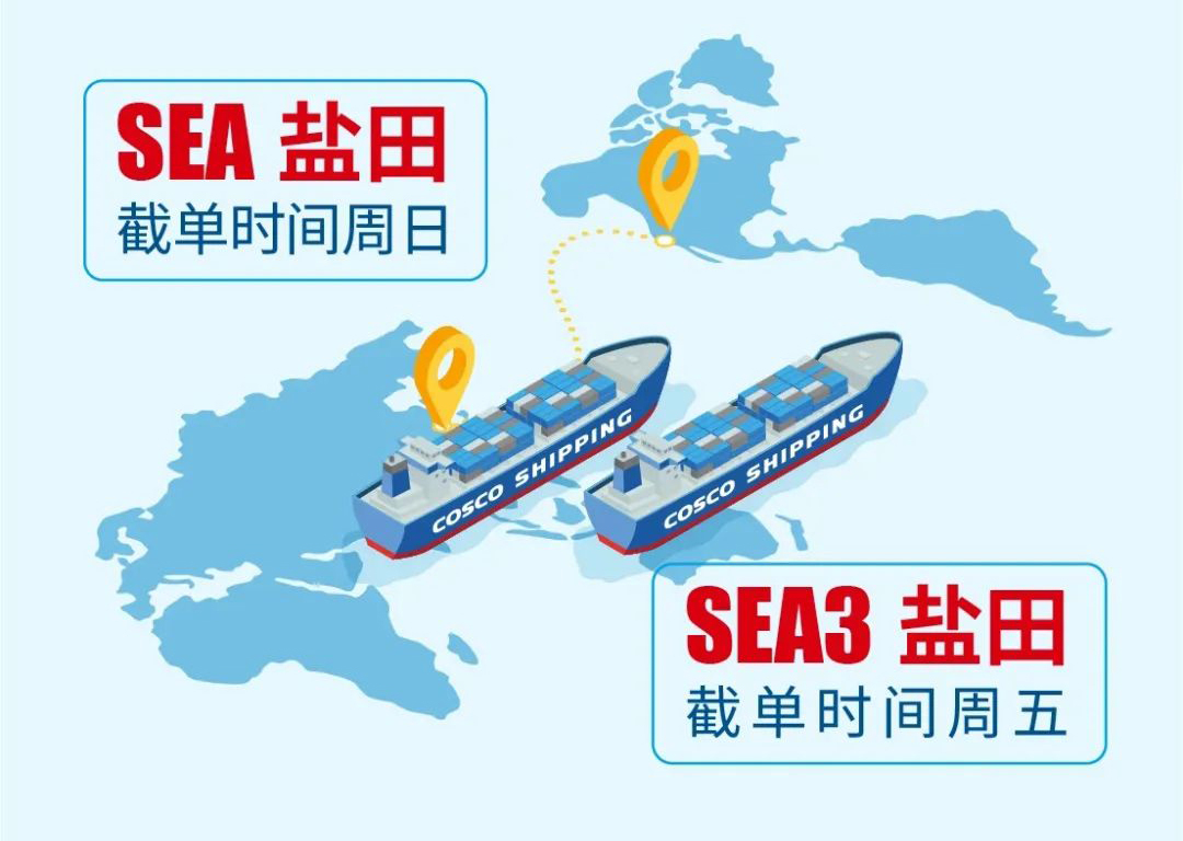 6、COSCO SEA3&SEA构成“双航线”格局