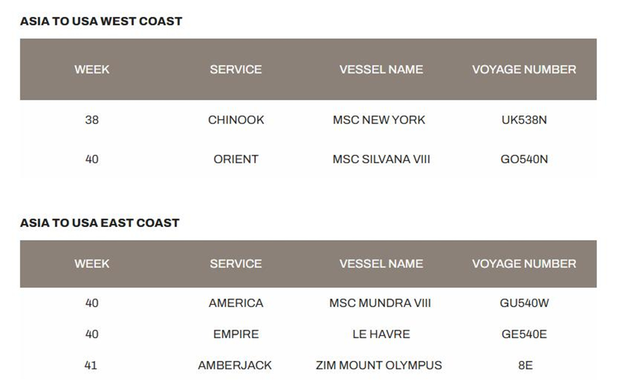 2、MSC黄金周停航美西美东航次信息